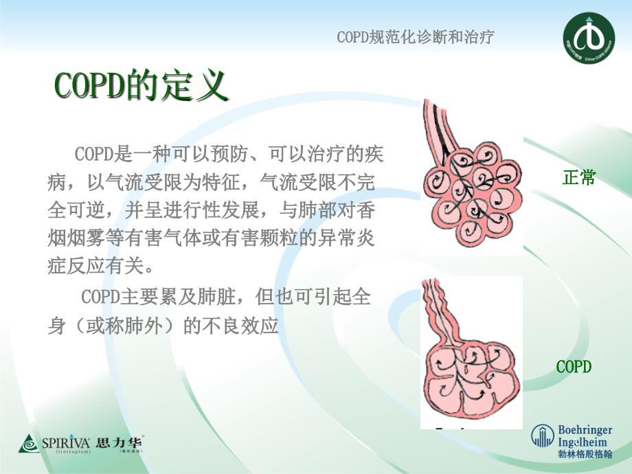 COPD的定义和发病机制-文档资料_第3页