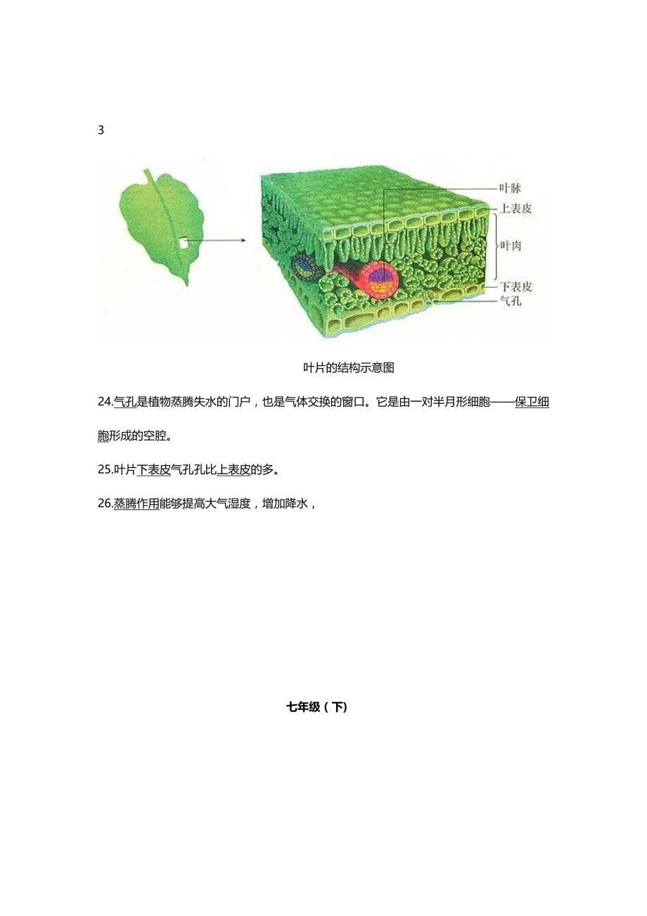 人教版初中生物中考复习图专题_第5页