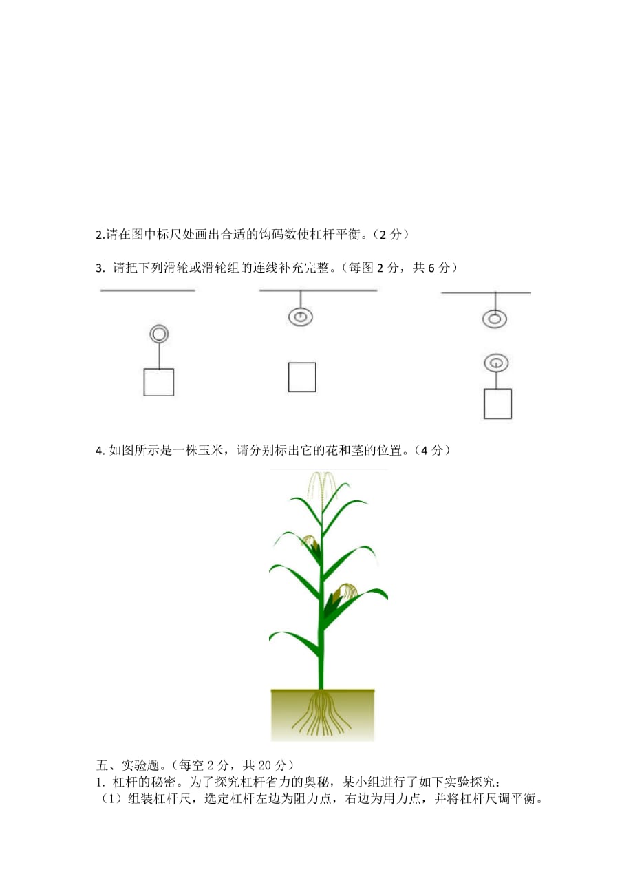 教科版六年级上册科学试题-期末考试_第3页