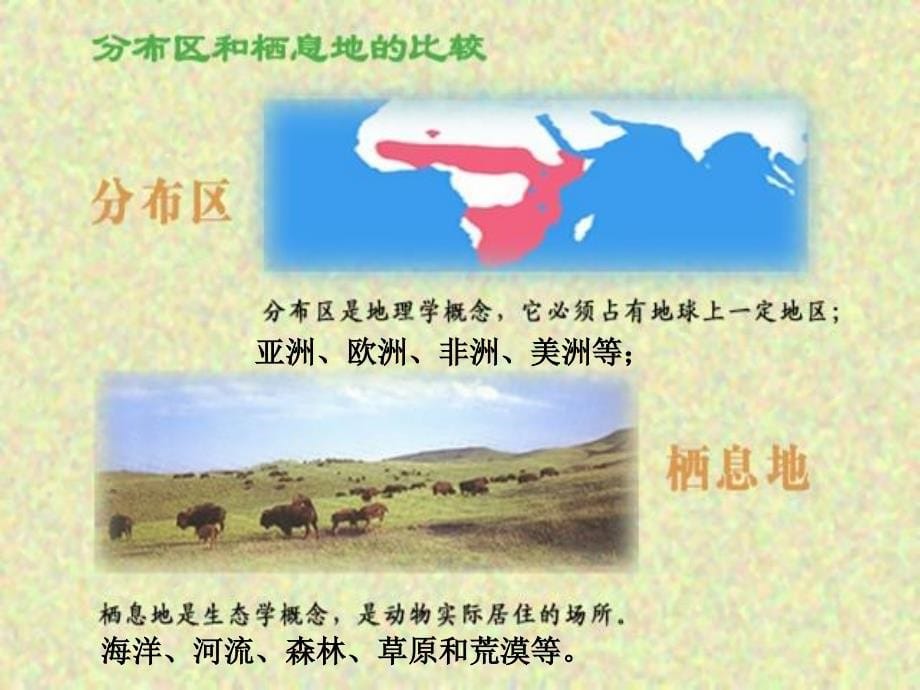 中国药用动物的地理分布版本课件_第5页