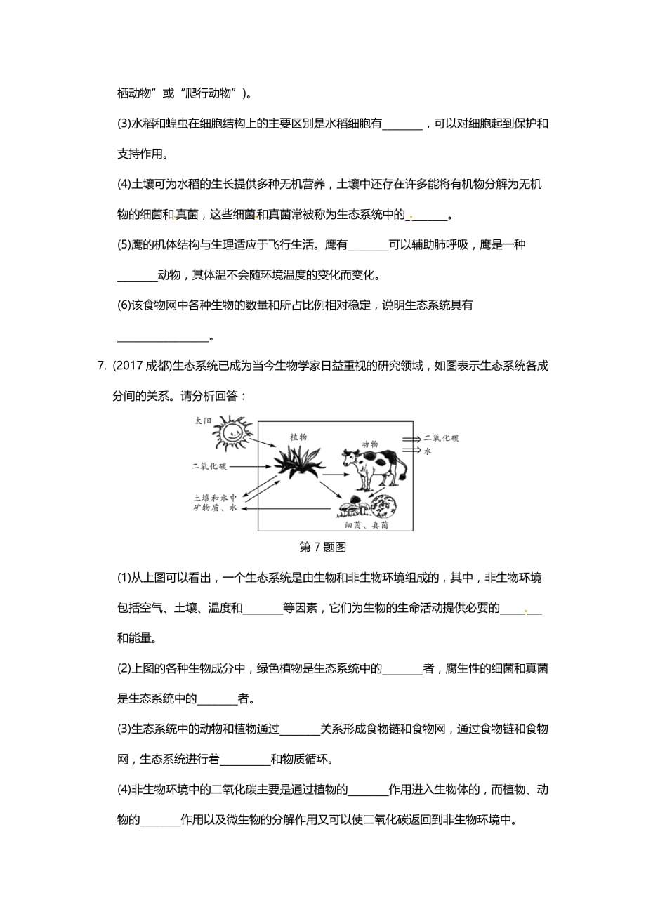 2019中考生物重难点突破--生态系统_第4页