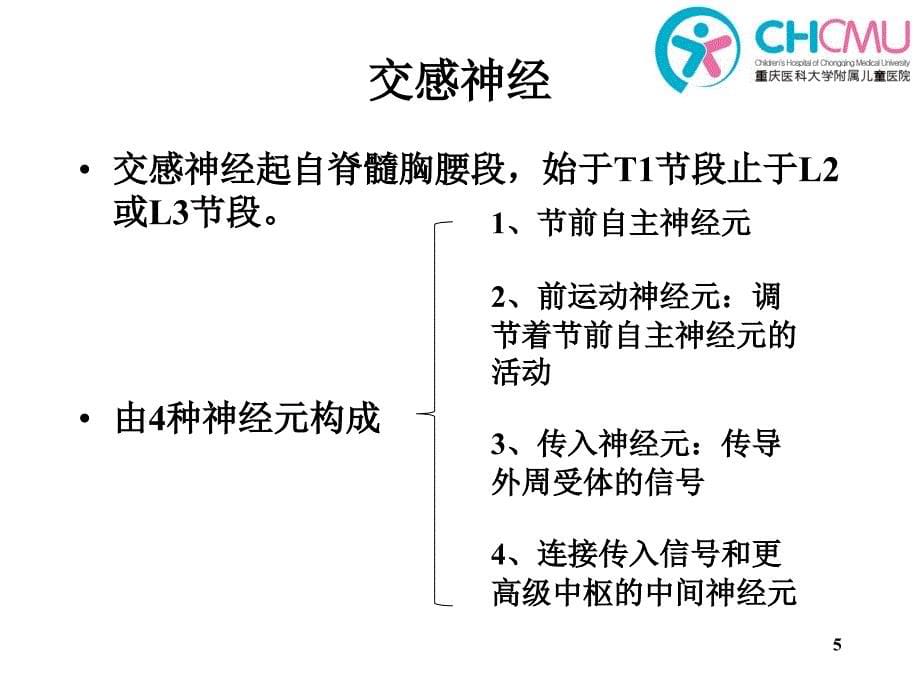 自主神经系统-文档资料_第5页