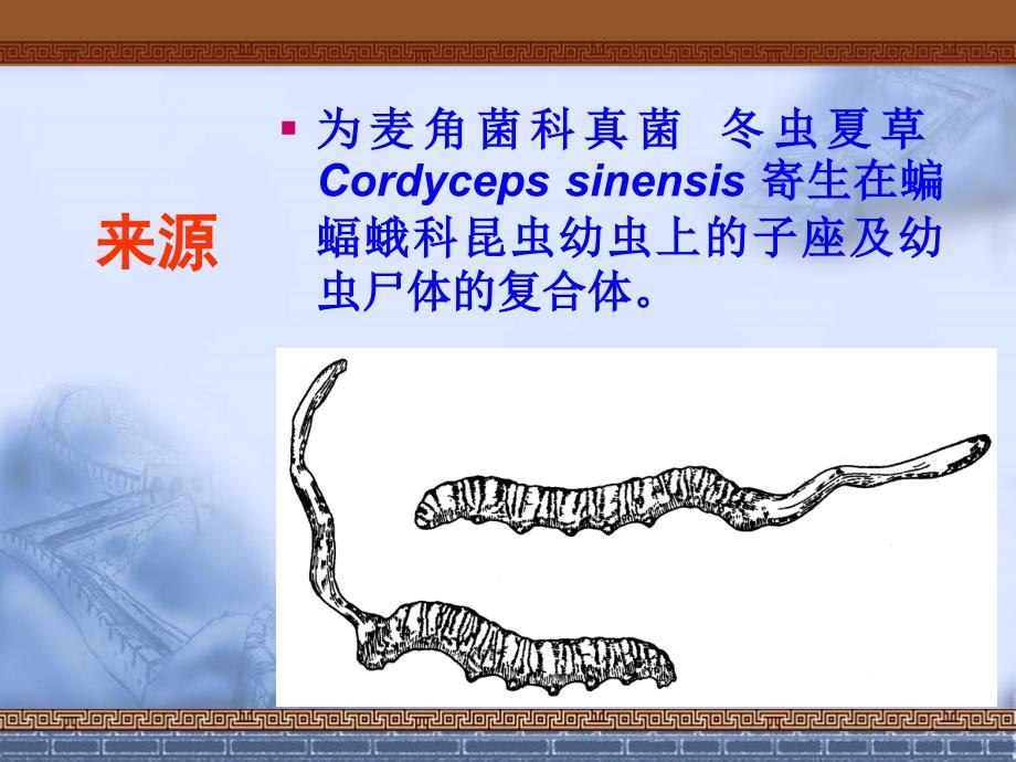 参茸质量鉴别精编版_第2页