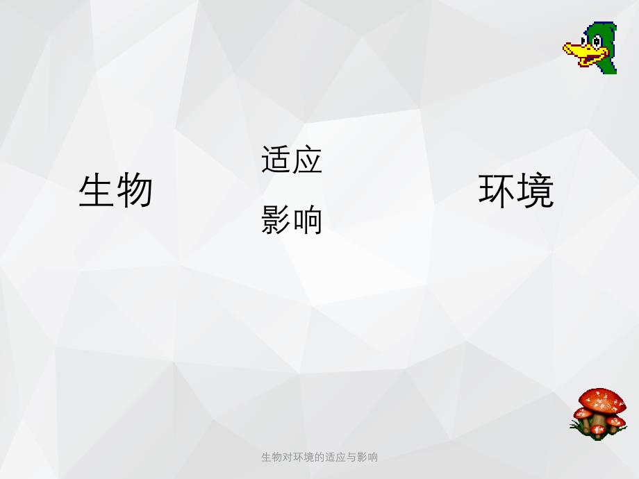 生物对环境的适应与影响 .ppt_第2页