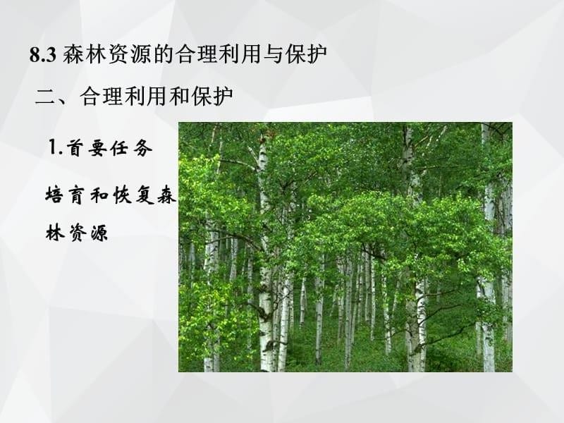 商业农业区域的开发 .ppt_第5页