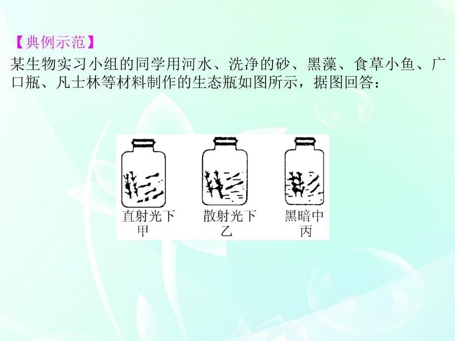 高中生物第一轮复习 实验38 实验设计专题研究系列之生态缸的设计制作及结果分析课件_第5页