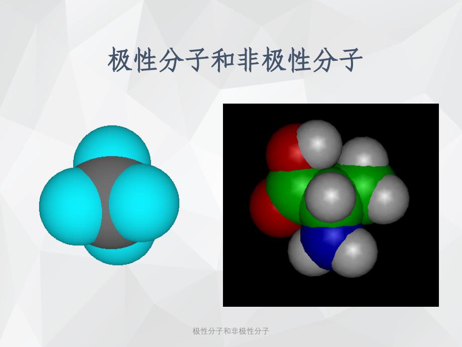 极性分子和非极性分子 .ppt_第2页