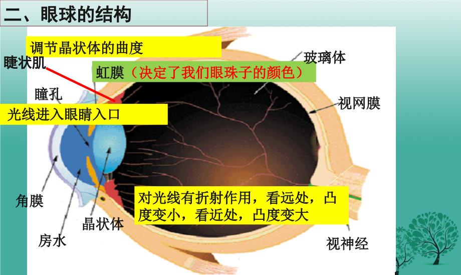 保护眼睛主题的教育班会PPT学习教案_第4页