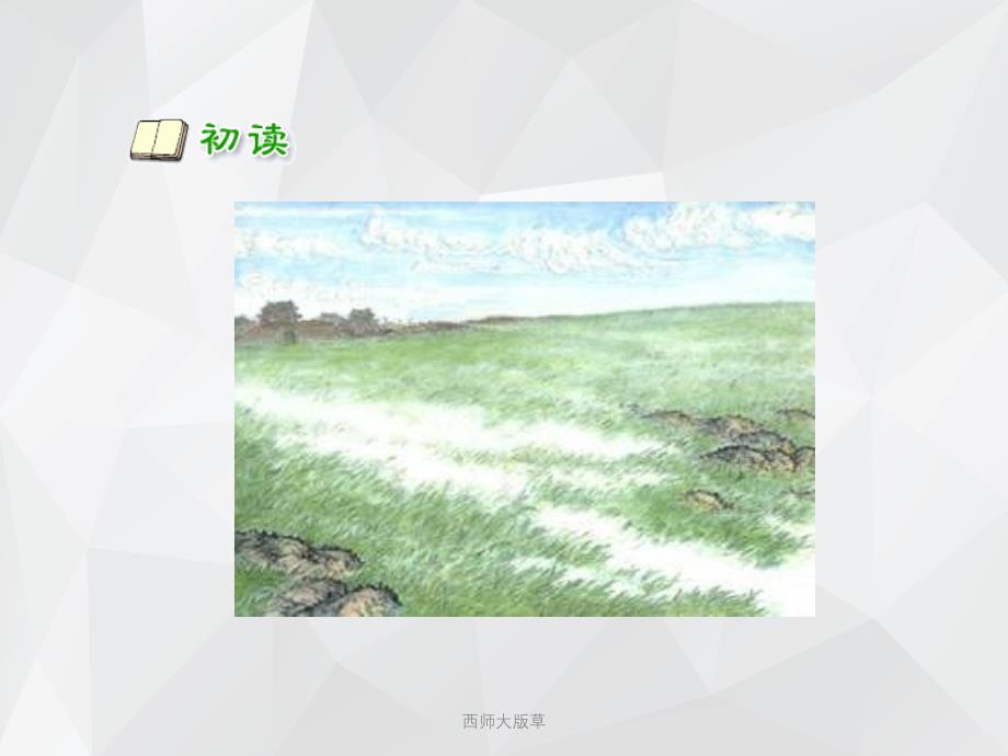 西师大版草 .ppt_第3页