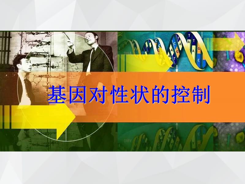 生物的遗传 课件.ppt_第1页