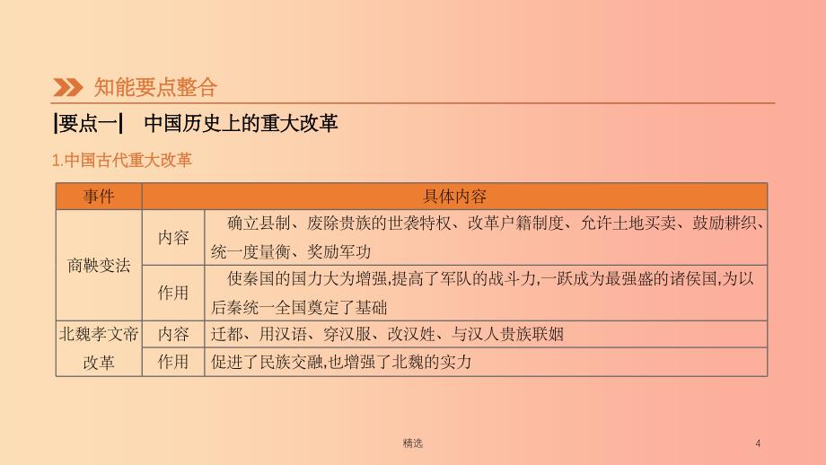 201X年中考历史二轮复习 知识专题5 中外重大改革课件 新人教版_第4页