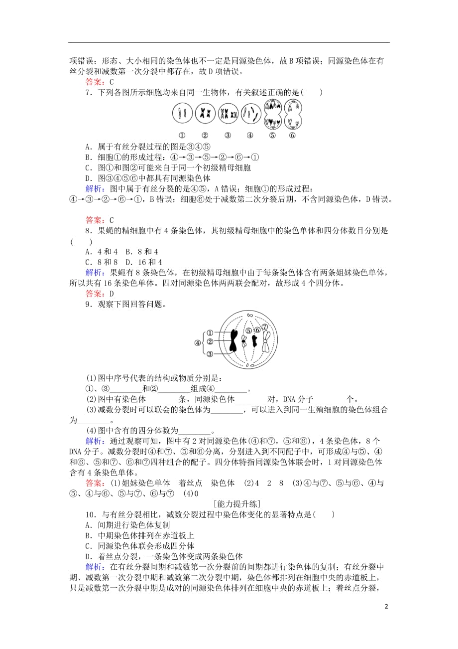 高中生物第二章基因和染色体的关系2.1.1减数分裂的概念精子的形成过程基础巩固练新人教必修2_第2页