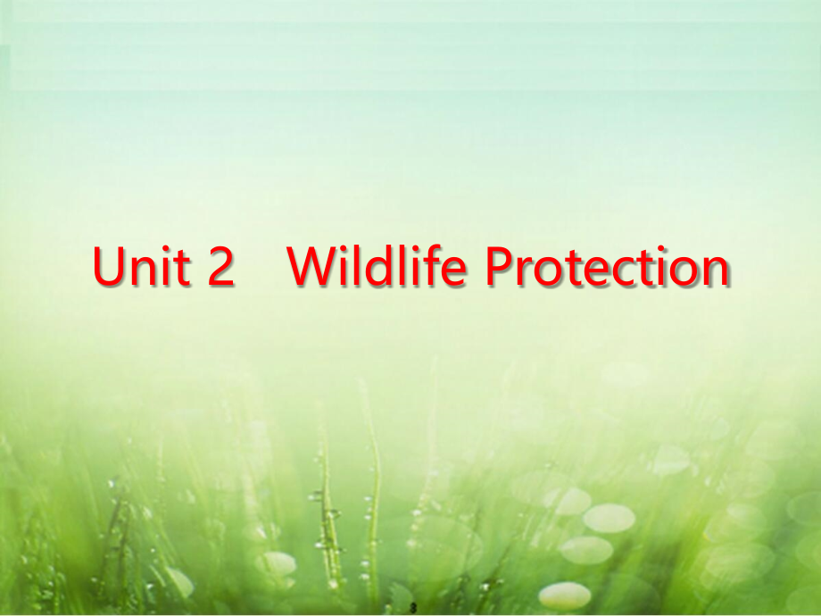 2020年新人教版《Unit 2 Wildlife Protection》单元课件全套（优质课）_第1页