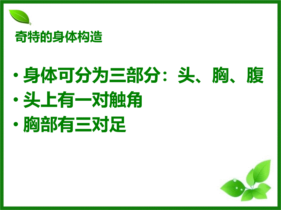 教科版六年级下册科学第一单元微小世界《放大镜下的昆虫世界》课件_第4页