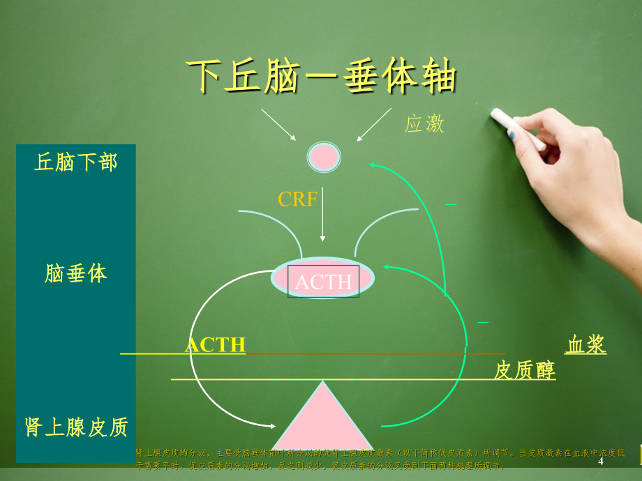 糖皮质激素类药物的特点PPT_第4页