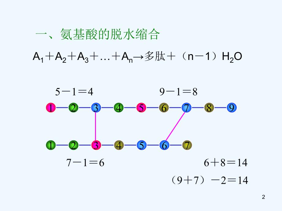 高考生物小专题 计算专题课件_第2页