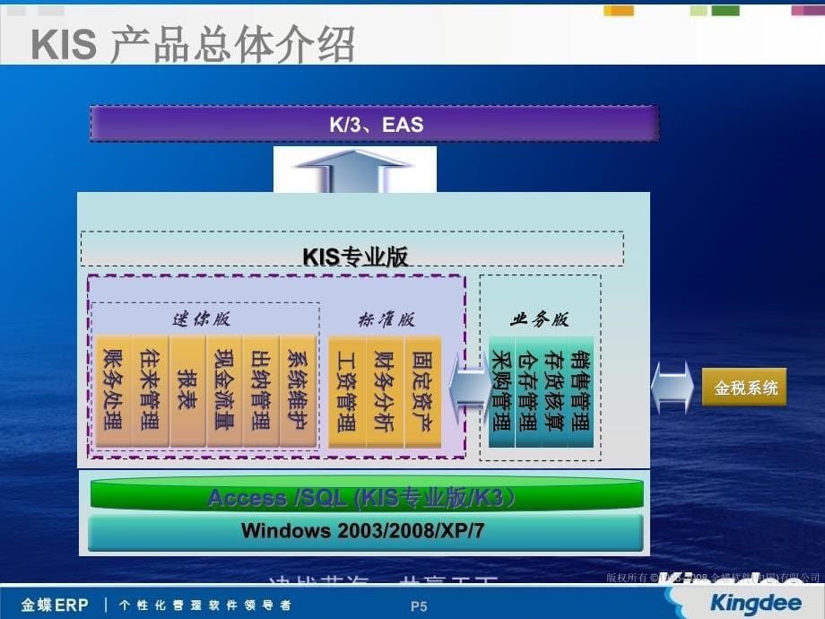 金蝶KIS产品方案介绍精编版_第5页