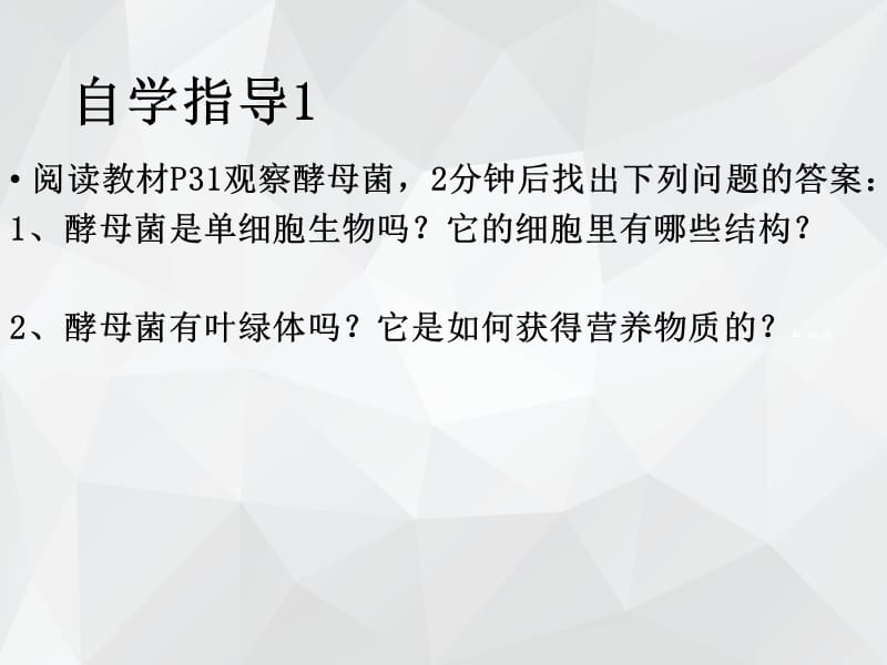 单细胞的生物体 课件.ppt_第3页