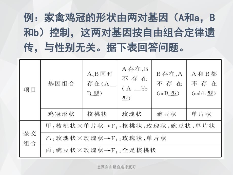 基因自由组合定律复习 .ppt_第2页