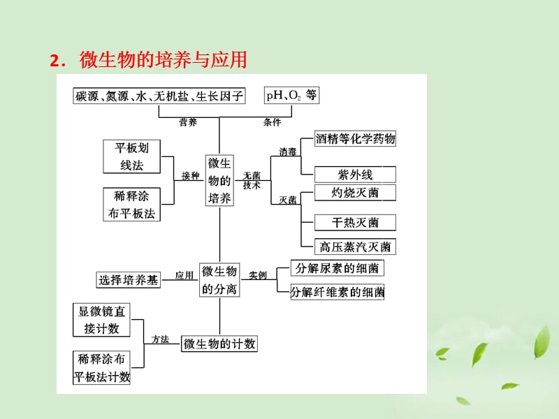 高中生物一轮复习 串点成面 模块精要回顾课件 新人教版必修1_第4页