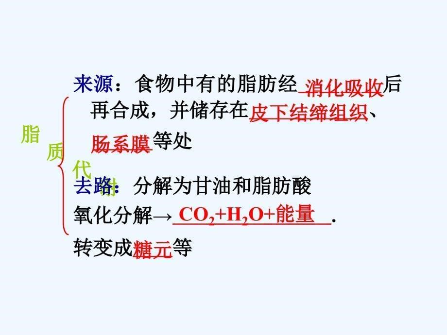 高考生物第一轮总复习 第9讲人和动物体内三大营养物质的代谢课件（广西专版）_第5页