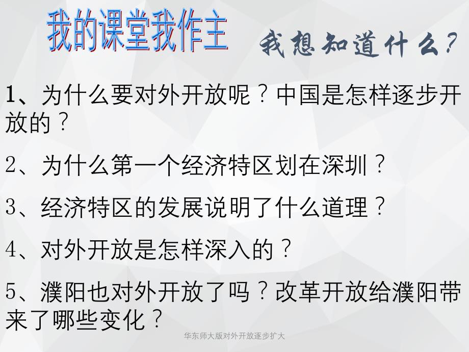 华东师大版对外开放逐步扩大 .ppt_第3页