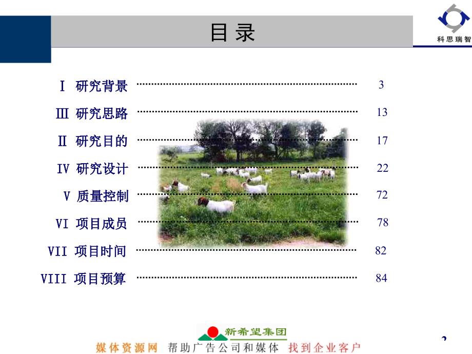 睿智新希望乳业品牌规划咨询建议书课件_第2页