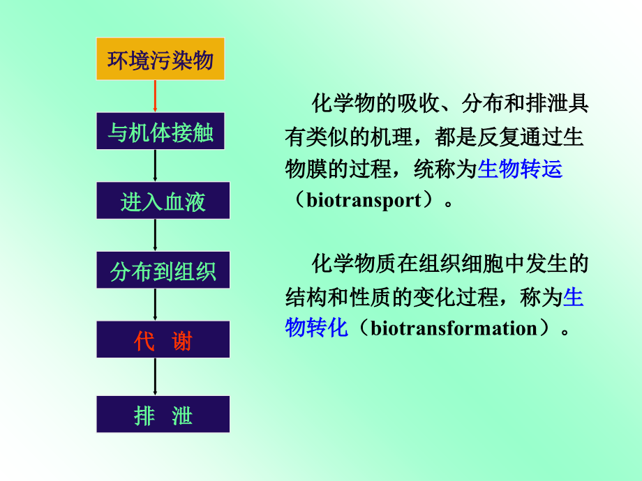 环境化学物的生物转运和生物转化课件_第2页