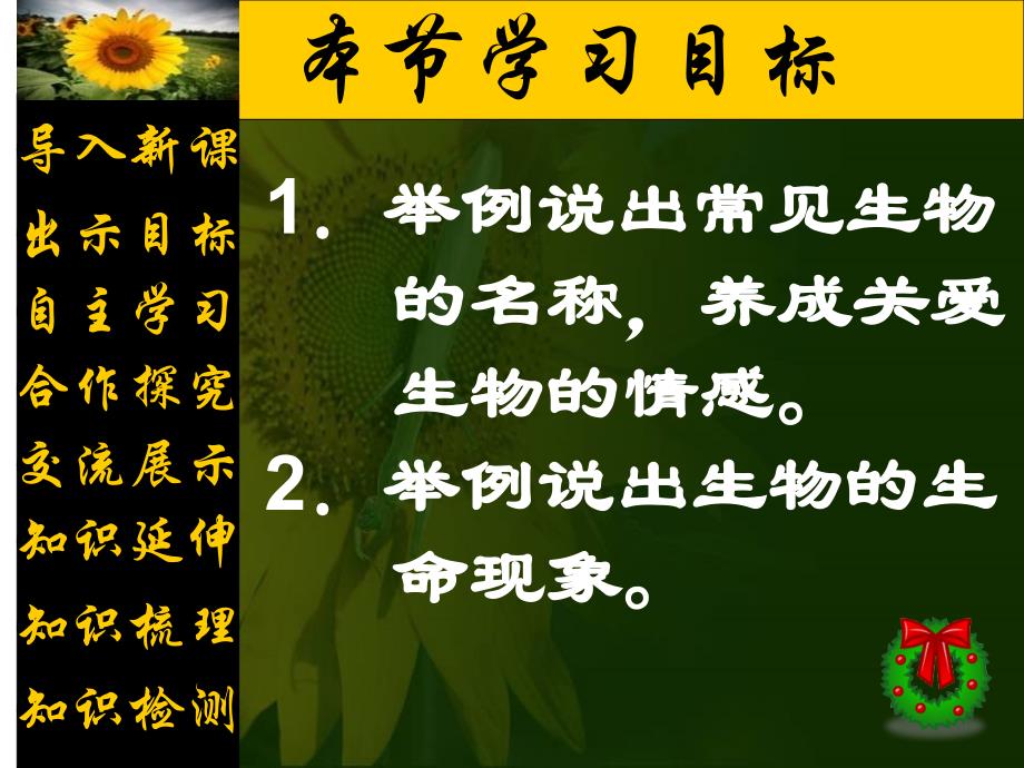 我们周围的生物 课件_第3页