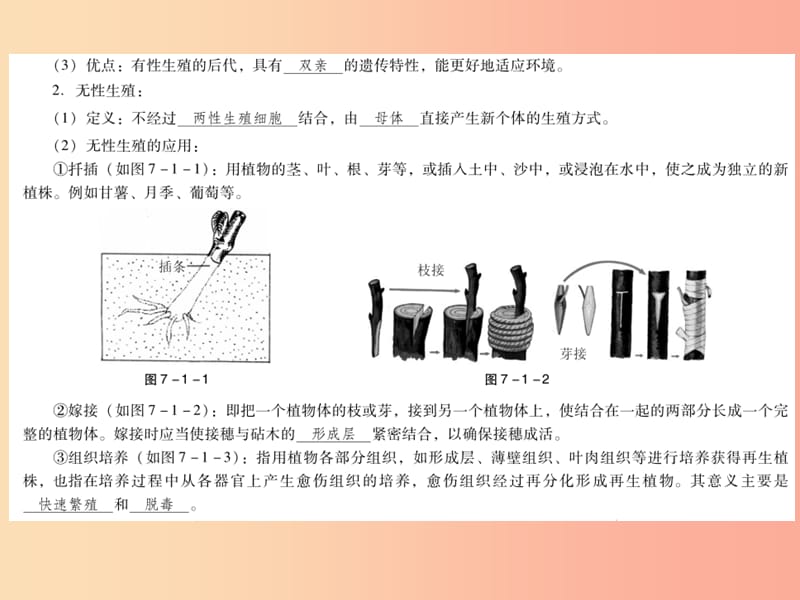 201X年中考生物总复习第七单元第一章生物的生殖和发育课件_第4页