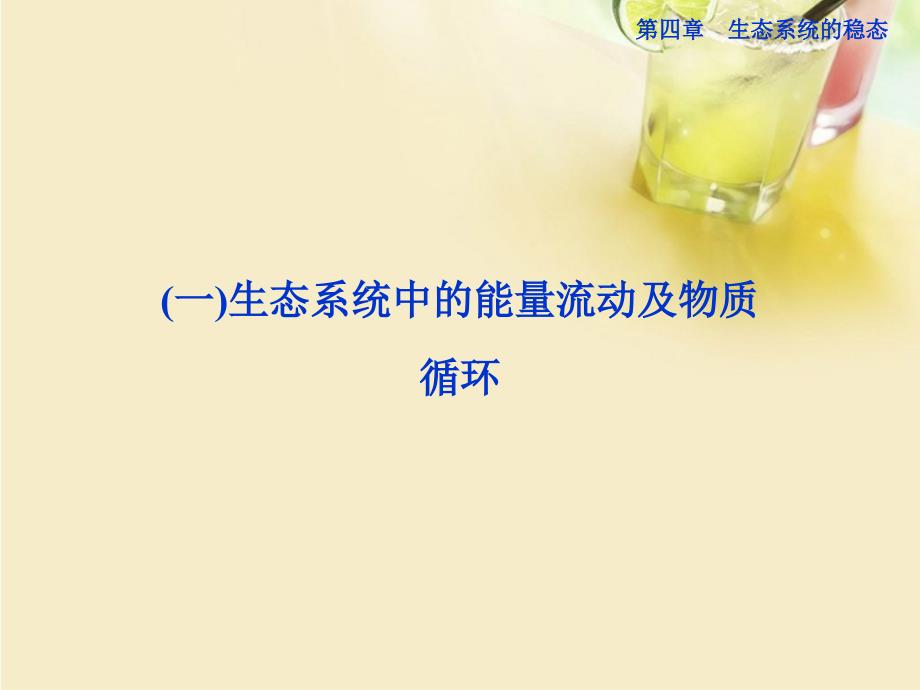 高中生物 4.2.1 生态系统中的能量流动及物质循环同步课件 苏教版必修3_第2页