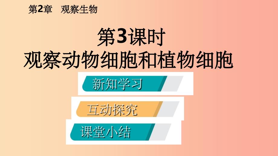 201X年秋七年级科学上册第2章观察生物2.2细胞2.2.3观察动物细胞和植物细胞导学课件新版浙教版_第2页