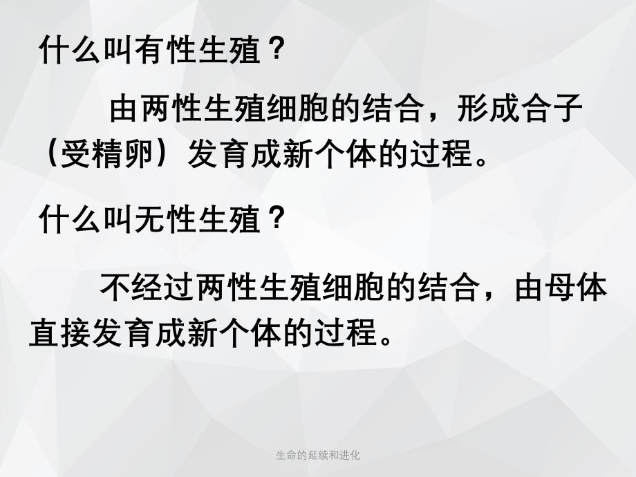 生命的延续和进化 .ppt_第4页