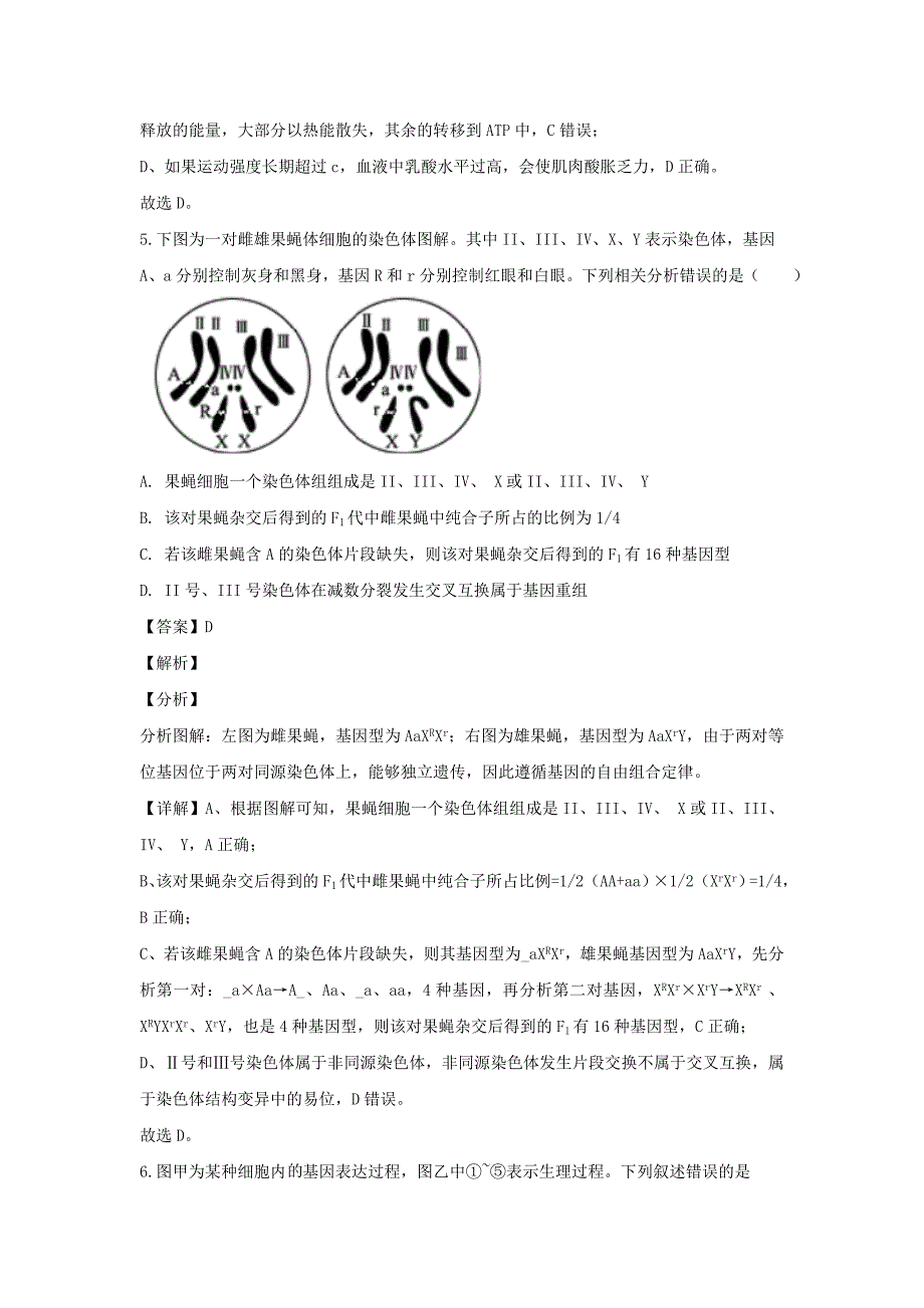 天津市河北区2020届高三生物总复习质量检测试题二含解析_第4页