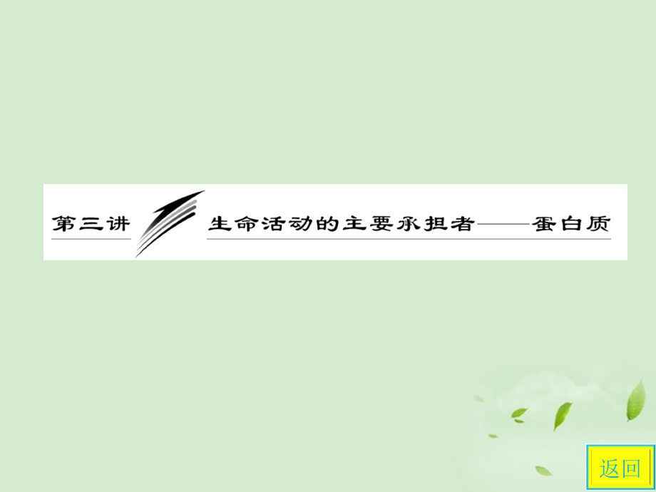 高中生物一轮复习 第一单元 第三讲 生命活动的主要承担者—蛋白质课件 新人教版必修1_第3页