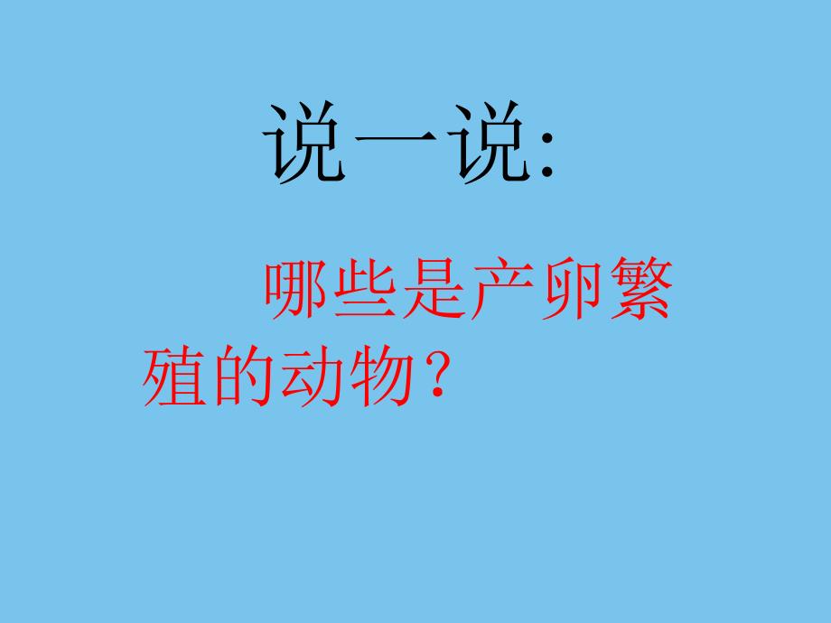 《动物的卵》PPT_第3页