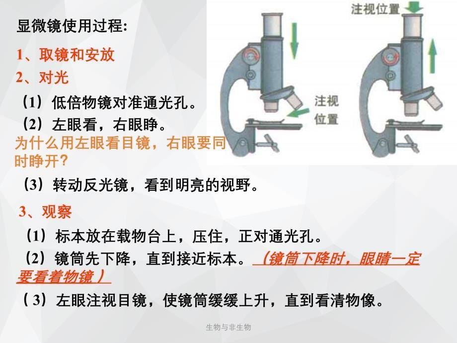 生物与非生物 .ppt_第5页