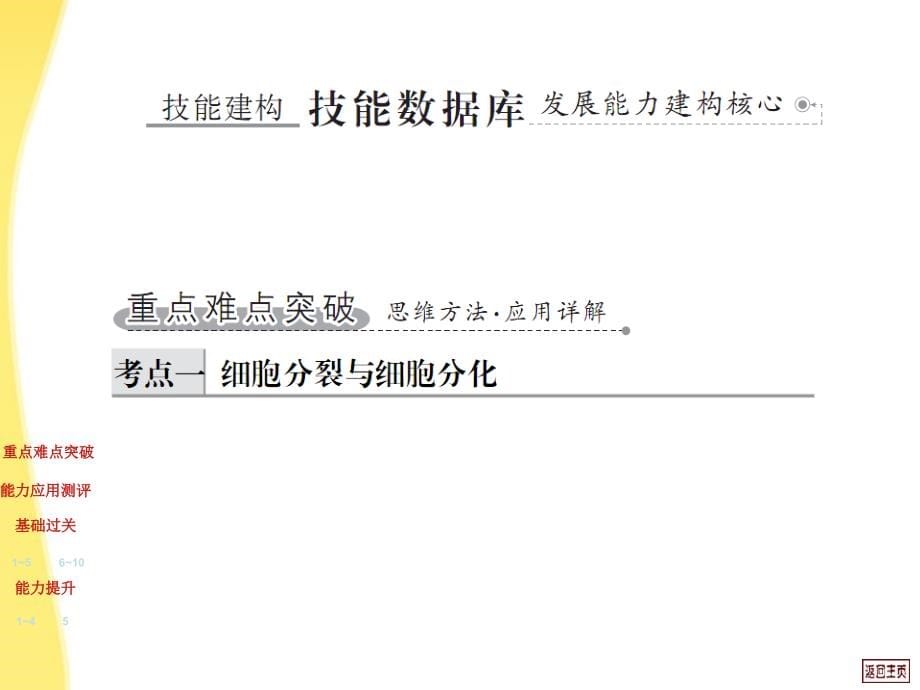 高考生物 6.2 细胞的分化、衰老、凋亡和癌变复习课件_第5页