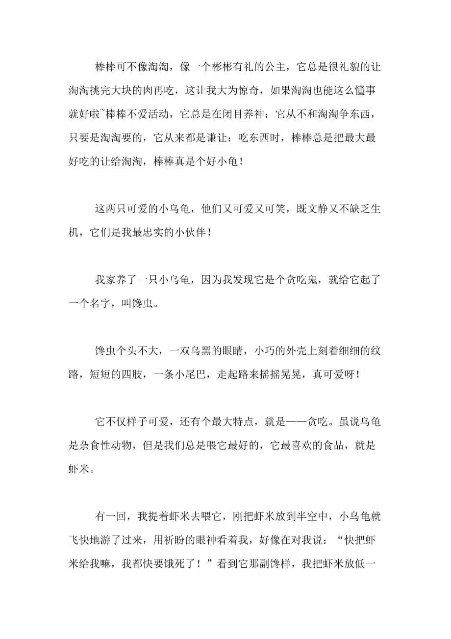 2021年关于小学生写乌龟的作文500字合集六篇_第5页