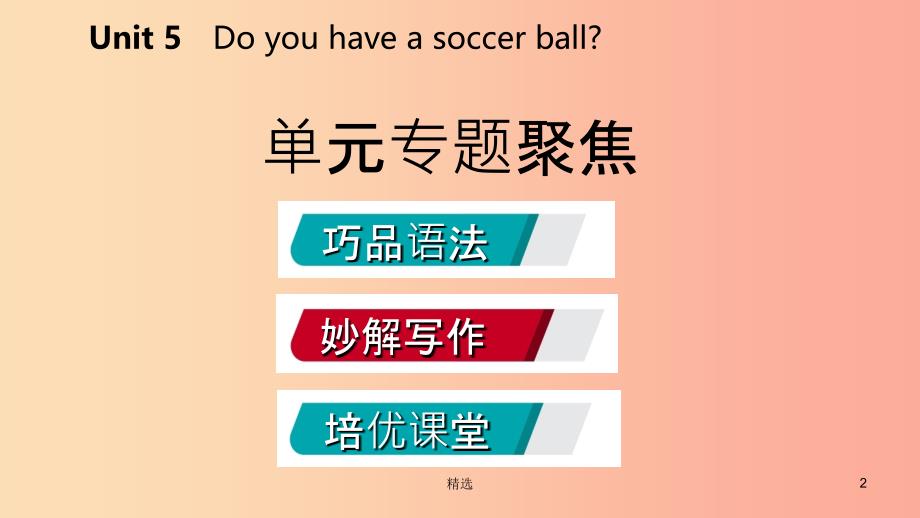 201X年秋七年级英语上册 Unit 5 Do you have a soccer ball单元专题聚焦课件 新人教版_第2页