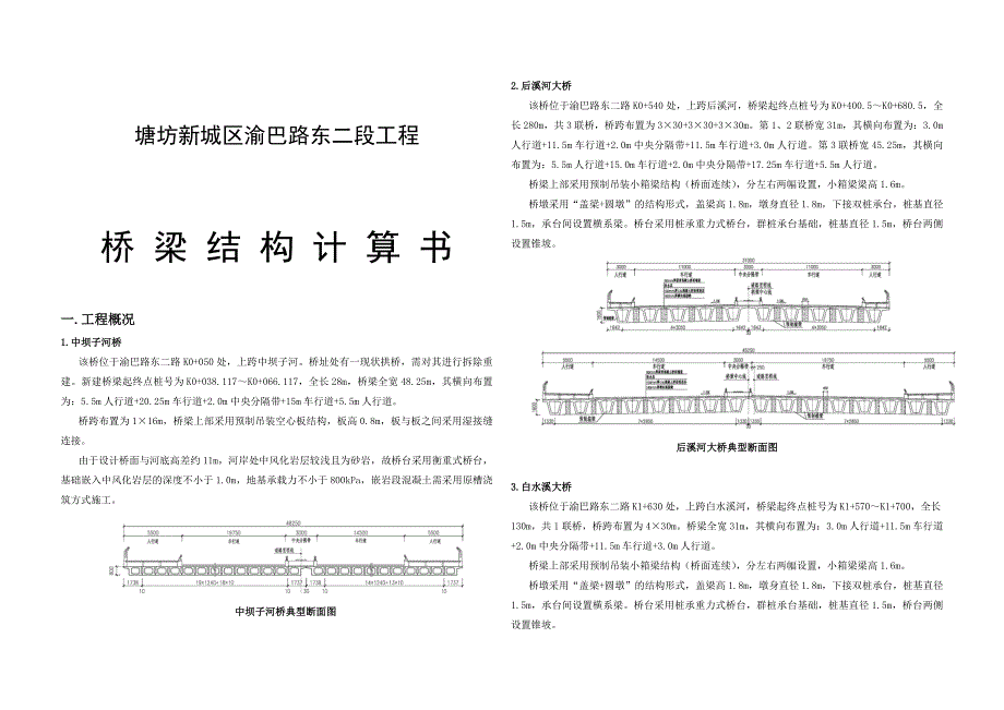 塘坊新城区渝巴路东二段工程 桥梁结构计算书_第1页