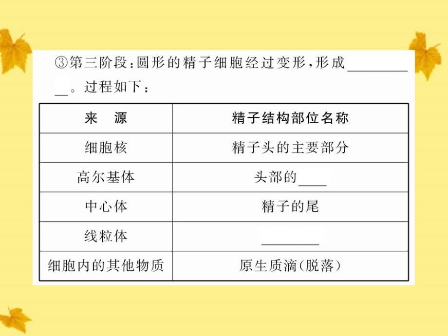 高三生物一轮复习 专题3.3胚胎工程同步课件 新人教版_第5页