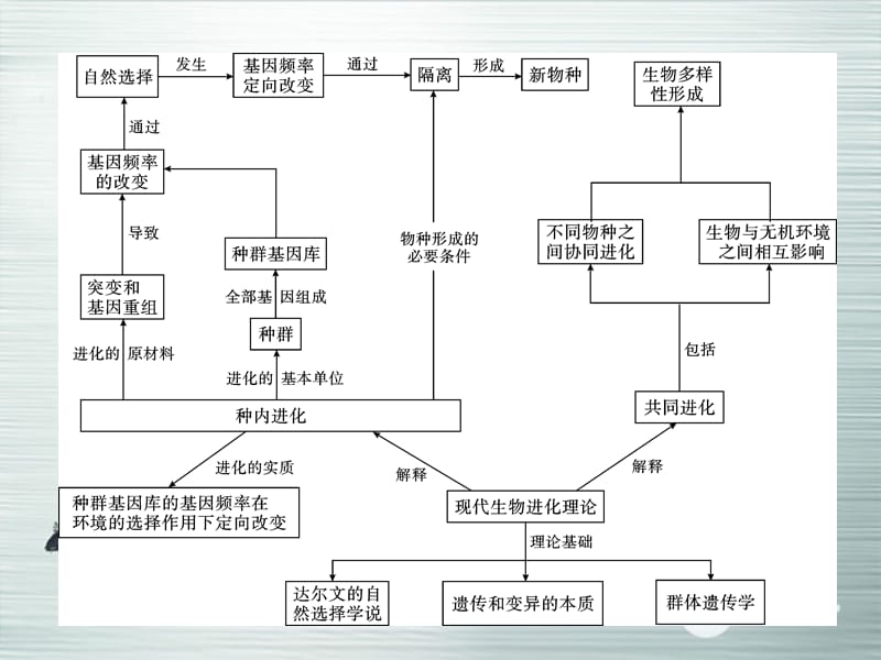 高考生物大一轮复习 专题13 生物的变异和进化(1)配套课件 新人教版_第4页