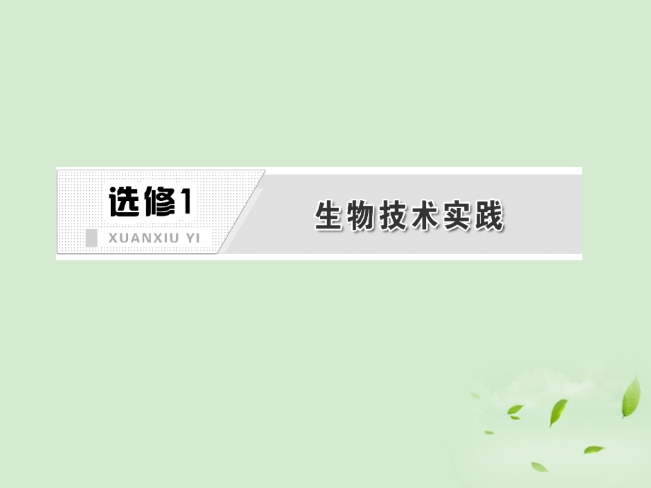 高中生物一轮复习 第一讲 传统发酵技术的应用课件 新人教版必修1_第2页