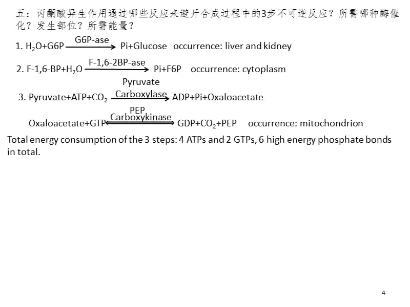 糖代谢途径PPT_第4页