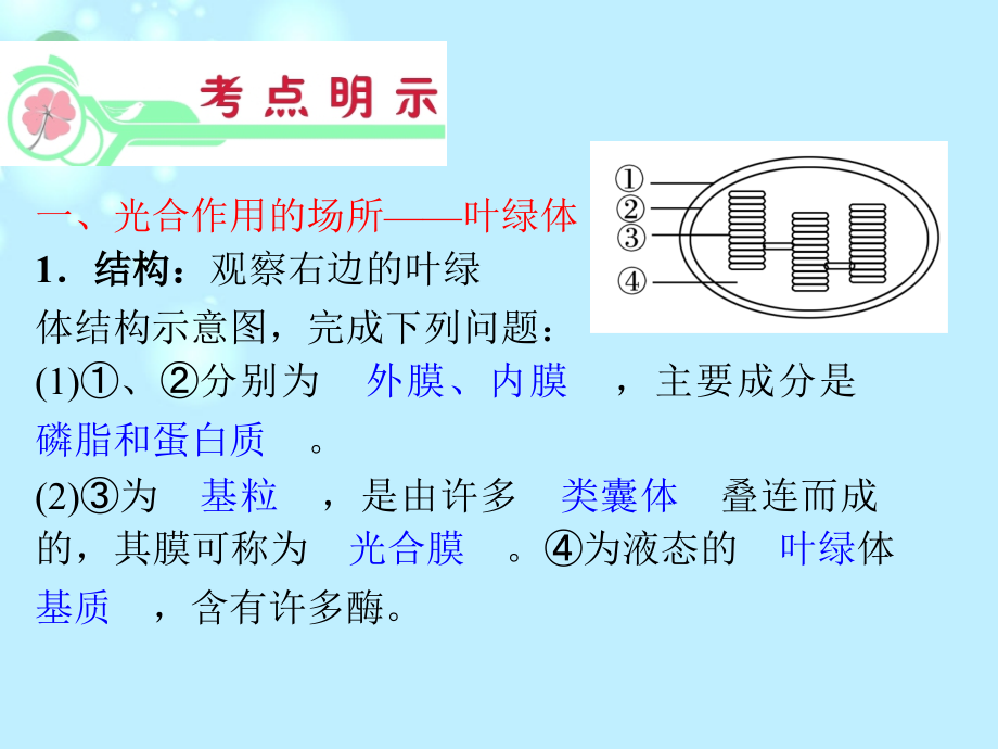 高考生物一轮复习 第3章第5节 光合作用课件 新人教版必修1（浙江专版）_第4页