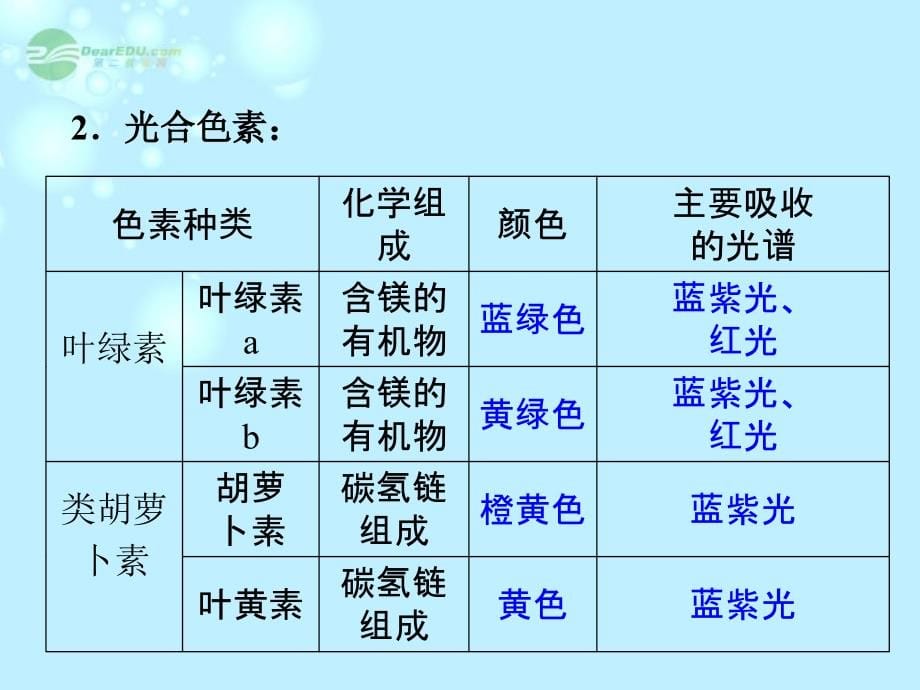 高考生物一轮复习 第3章第5节 光合作用课件 新人教版必修1（浙江专版）_第5页