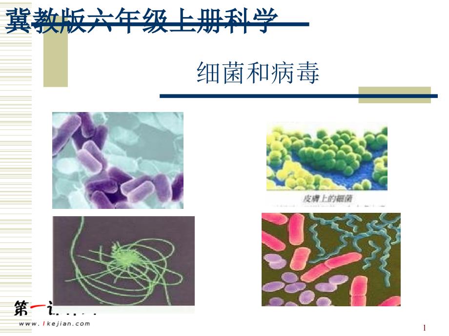 细菌和病毒-文档资料_第1页