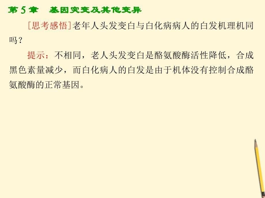 高考生物总复习 5.3《人类遗传病》知识研习课件 新人教版必修2_第5页