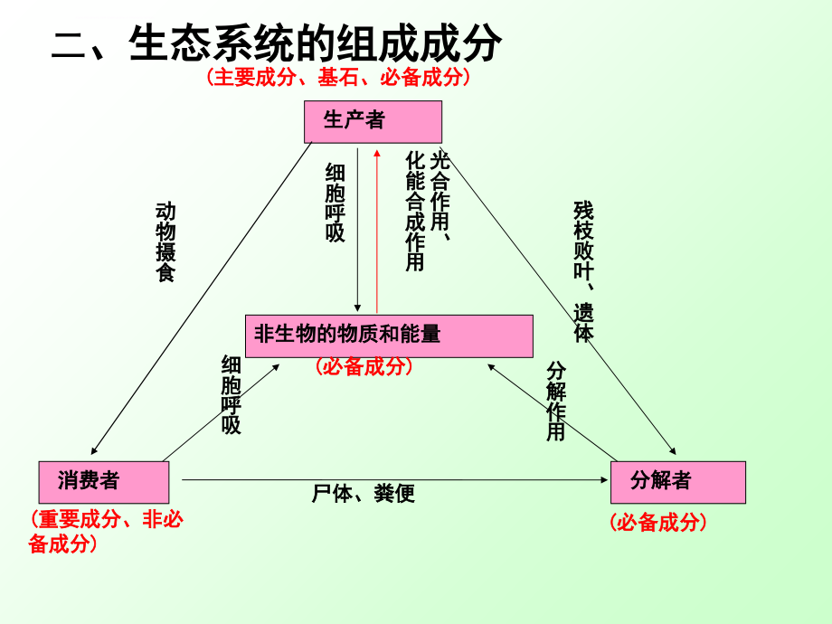 生态系统的能量流动修改些资料课件_第2页